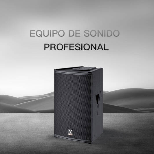 Equipo de Sonido Profesional
